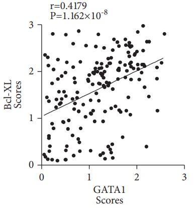 Correlation between GATA1 and Bcl-XL expression.jpg